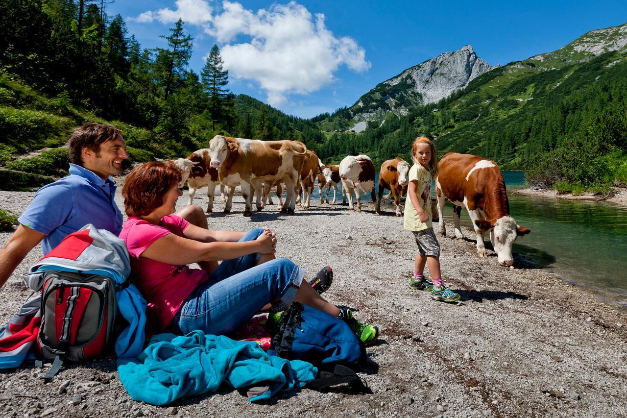 Hotel Ausseerland Bad Mitterndorf Εξωτερικό φωτογραφία